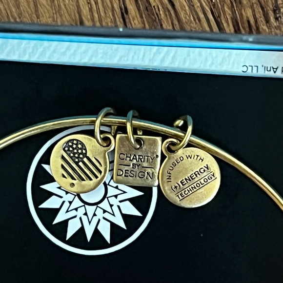 Alex and Ani Adjustable (+) Energy New Beginnings Bracelet | EUC - Picture 6 of 6
